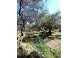 Herceg Novi, građevinski placevi na 1.7 km od centra